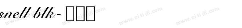 snell blk字体转换